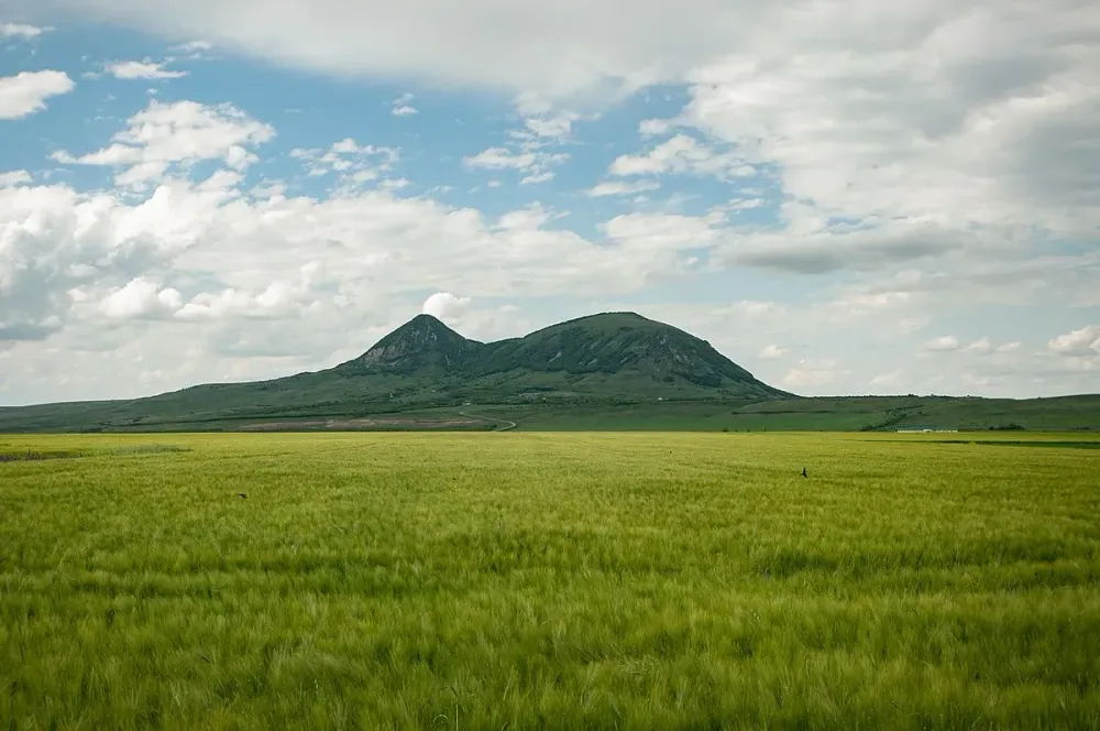 Публикации